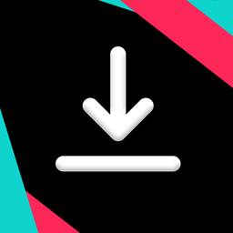 SnapTik Review